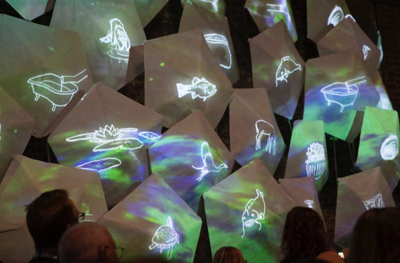 Line art llustrations of plants and animals are projected onto a cluster of three-dimensional pentagons.