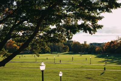 A view of the Drillfield in fall
