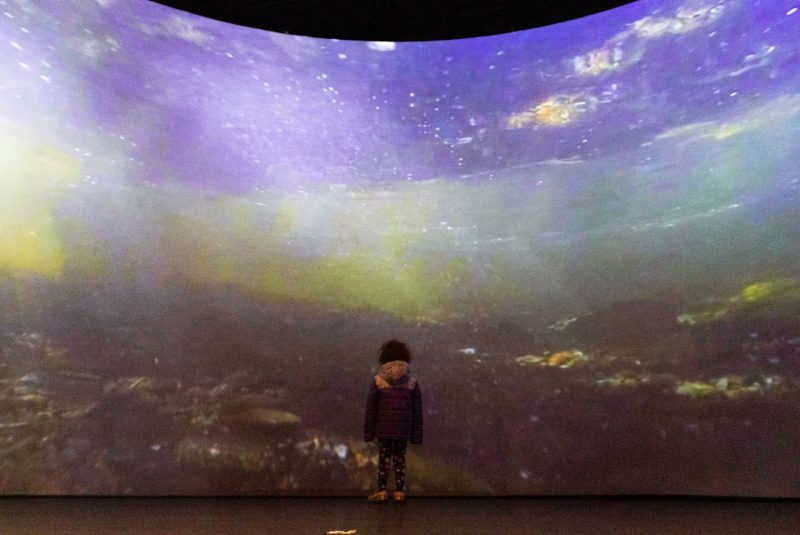 A small child in a winter coat stands alone in front of a huge projection screen showing an image of the bottom of a river.