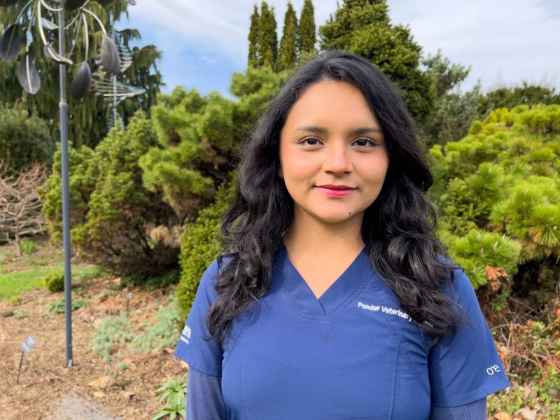 As a child growing up in Peru, Ariana Salcedo saw a lot of stray animals, particularly dogs and cats. Even though Salcedo moved to Northern Virginia when she was 8 years old, those memories stuck with her.