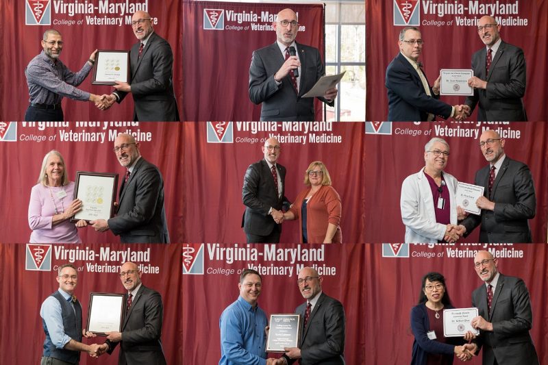 The Virginia-Maryland College of Veterinary Medicine held an awards reception for faculty who have excelled in outreach, teaching, the advancement of veterinary medicine, innovation, and entrepreneurial thinking.