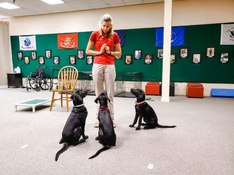 Cassie Krause with three sitting dogs